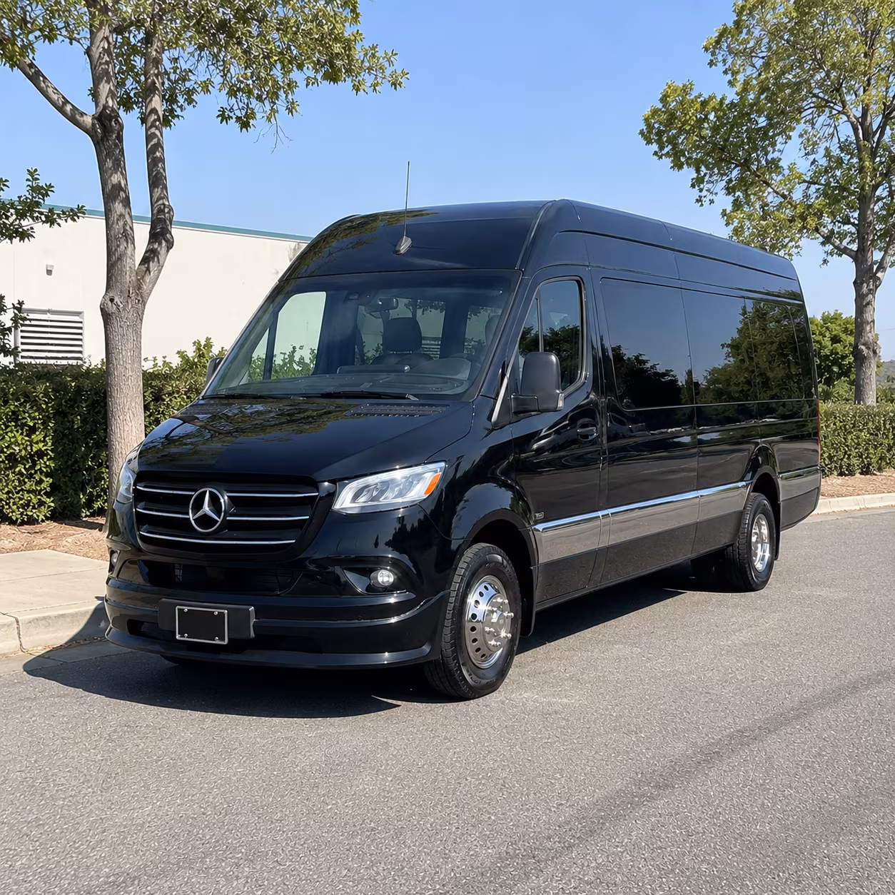 bryan sprinter van with driver